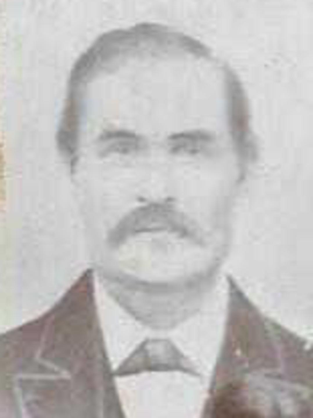 Wilford Woodruff Brandon (1837 - 1900) Profile